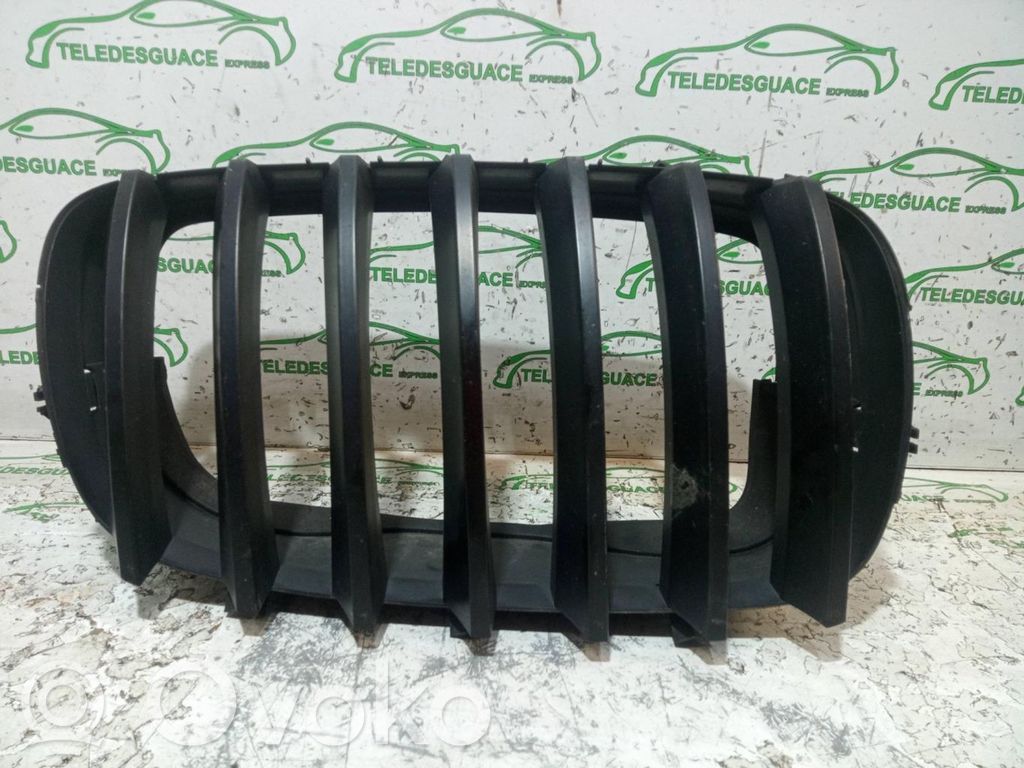Front grill   7171396