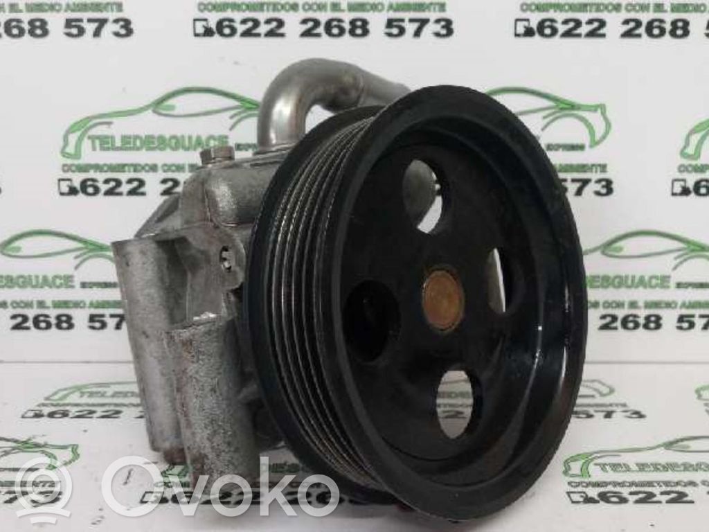 Ford Fiesta Servopumpe 