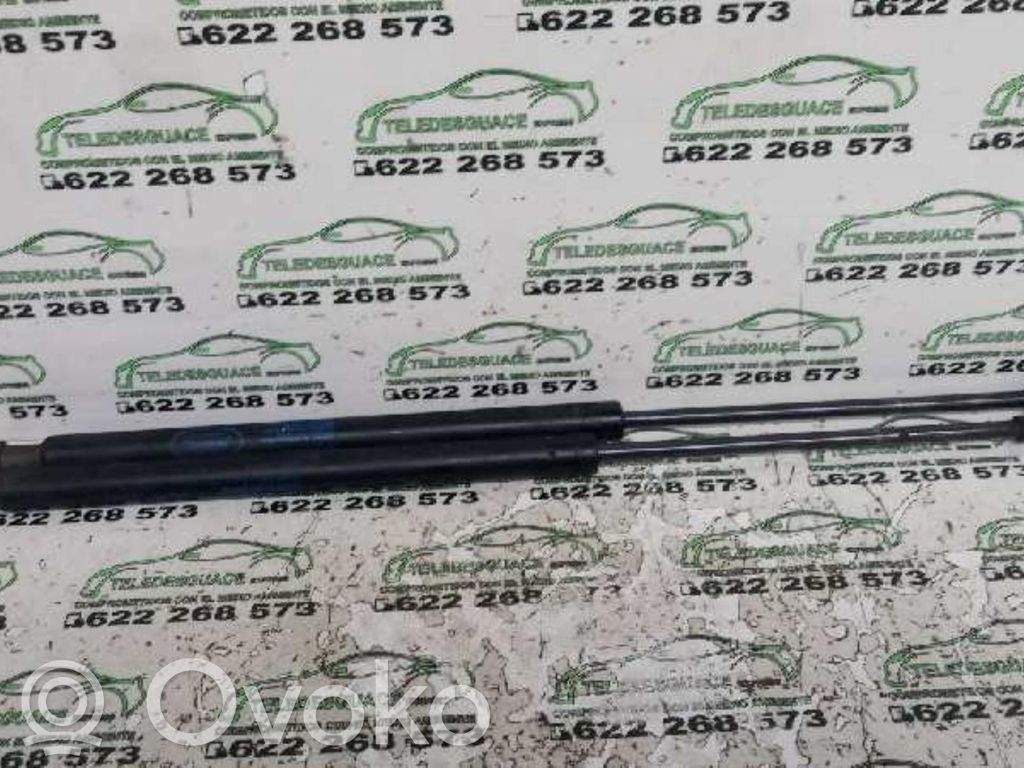 Land Rover Discovery Amortyzator klapy tylnej bagażnika 