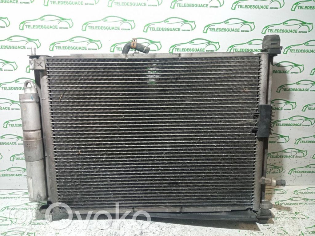 Renault Clio III Coolant radiator 
