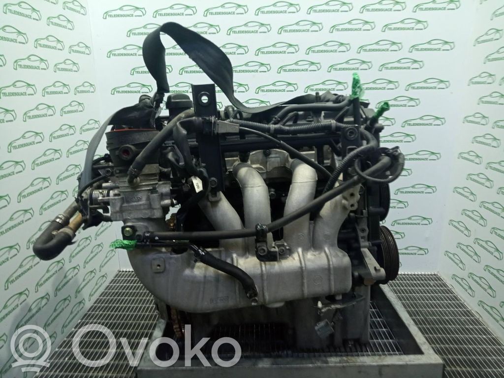 KIA Rio Variklis 