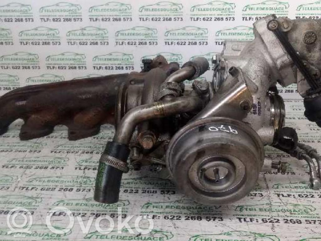 Turbo   11657808361