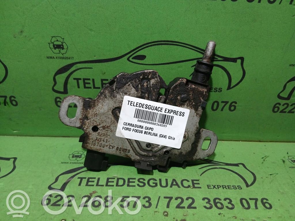 Ford Focus Tie down hook / loop 