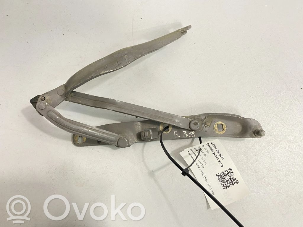 BMW 5 E39 Tailgate/trunk/boot hinge 