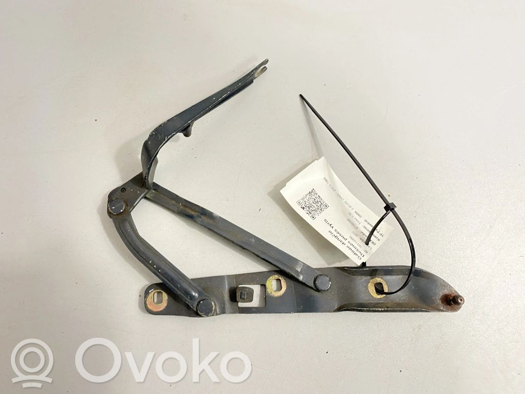 BMW 5 E39 Tailgate/trunk/boot hinge 