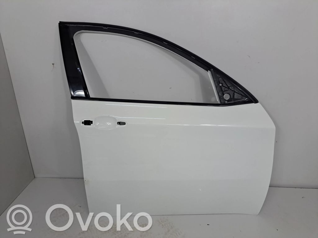 BMW X6 E71 Front door 