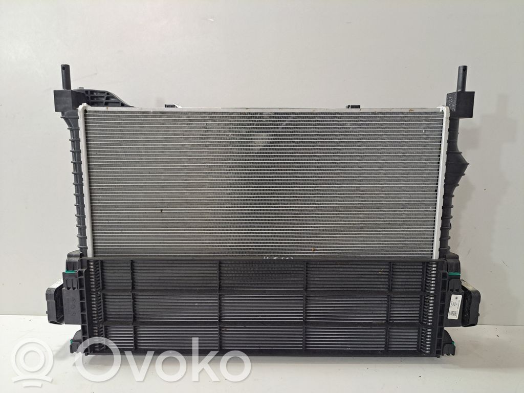 Mini Electric (Cooper SE) Set del radiatore 