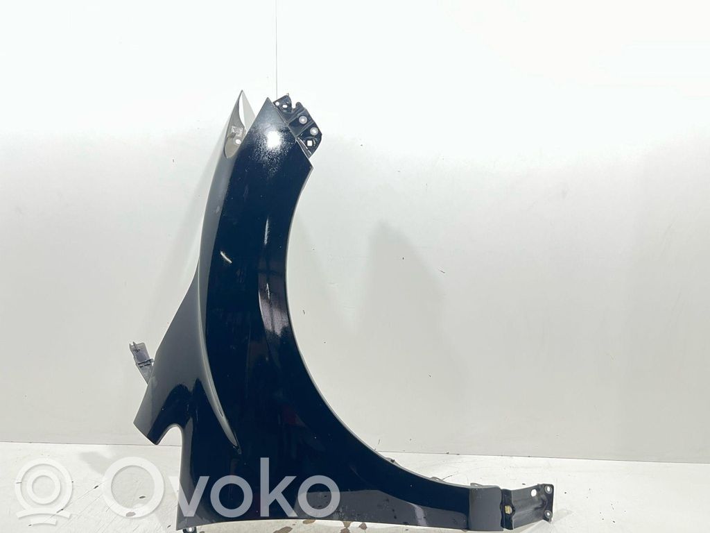 Kotflügel   E22152110E,E22152110E