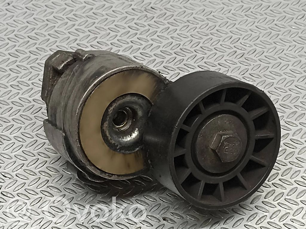 Fiat Ducato Generatoriaus diržo įtempėjas 