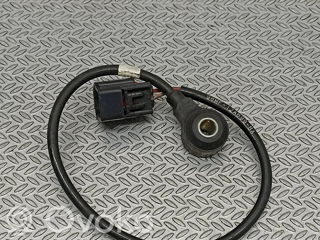 Ford C-MAX II Klopfsensor 