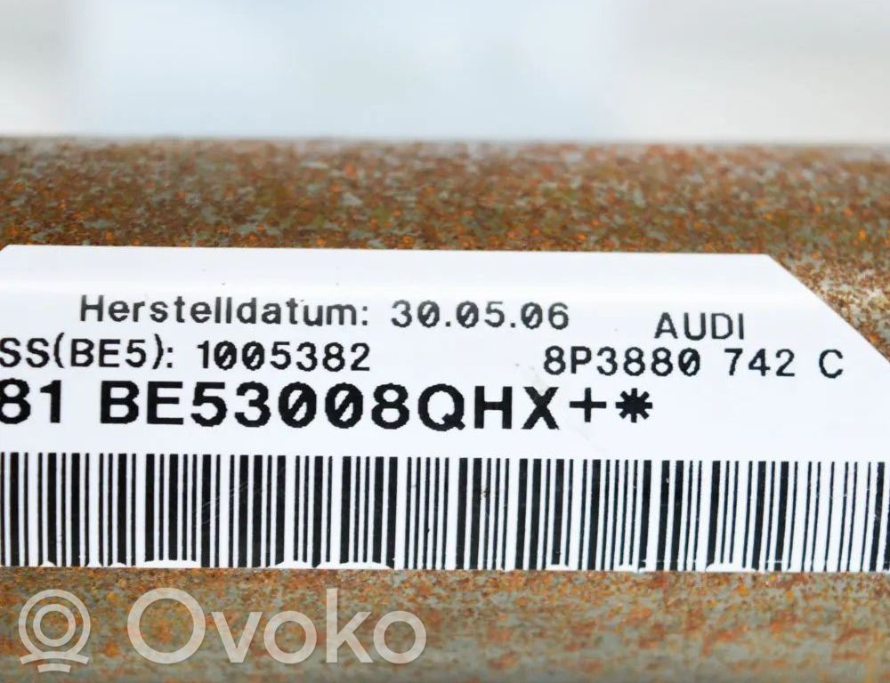 Audi A3 S3 8P Airbag del techo 