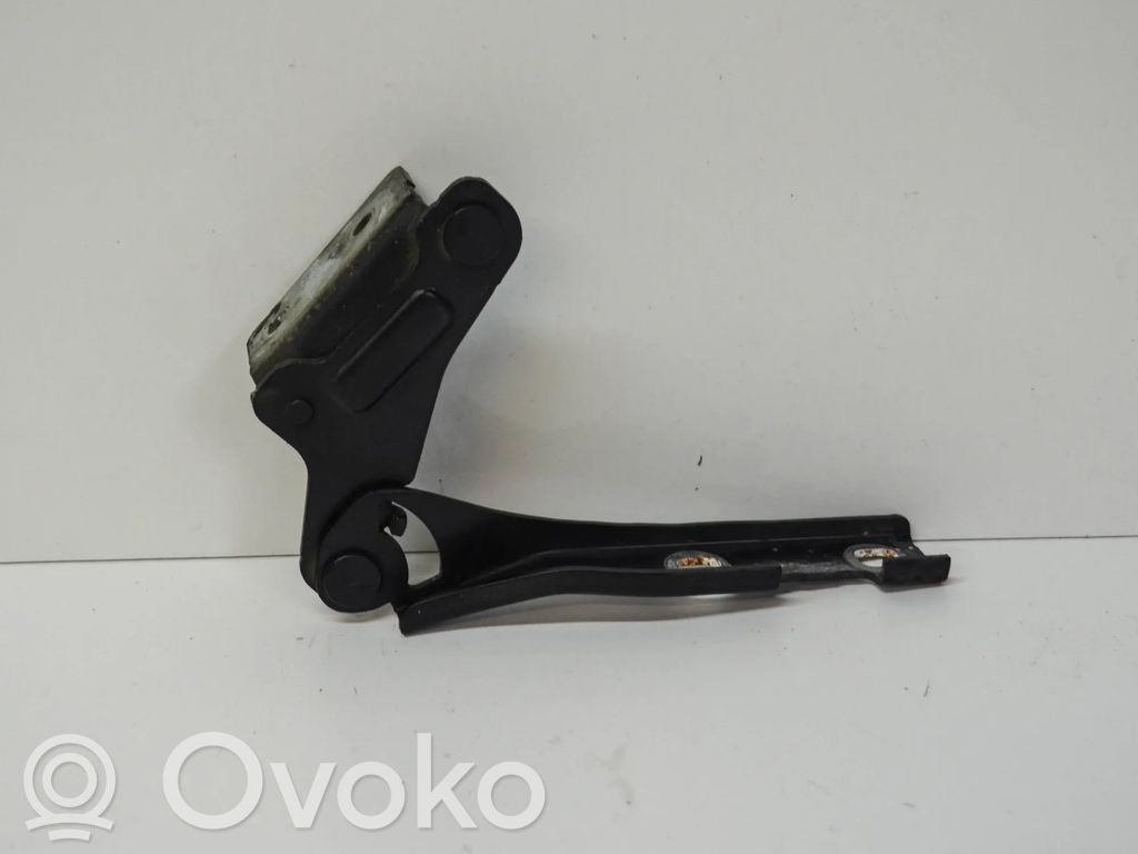 Seat Exeo (3R) Konepellin saranat 