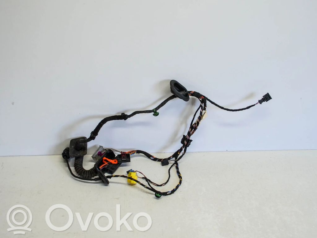 Volkswagen Tiguan Cableado de puerta delantera 
