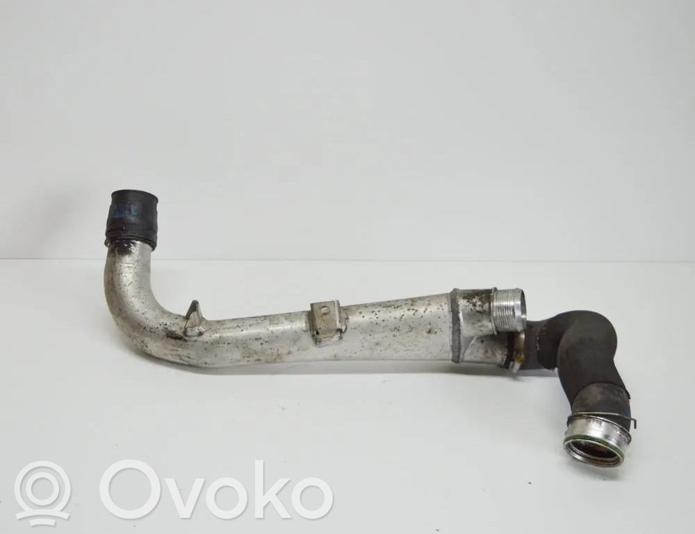 Volkswagen Phaeton Air intake hose/pipe 