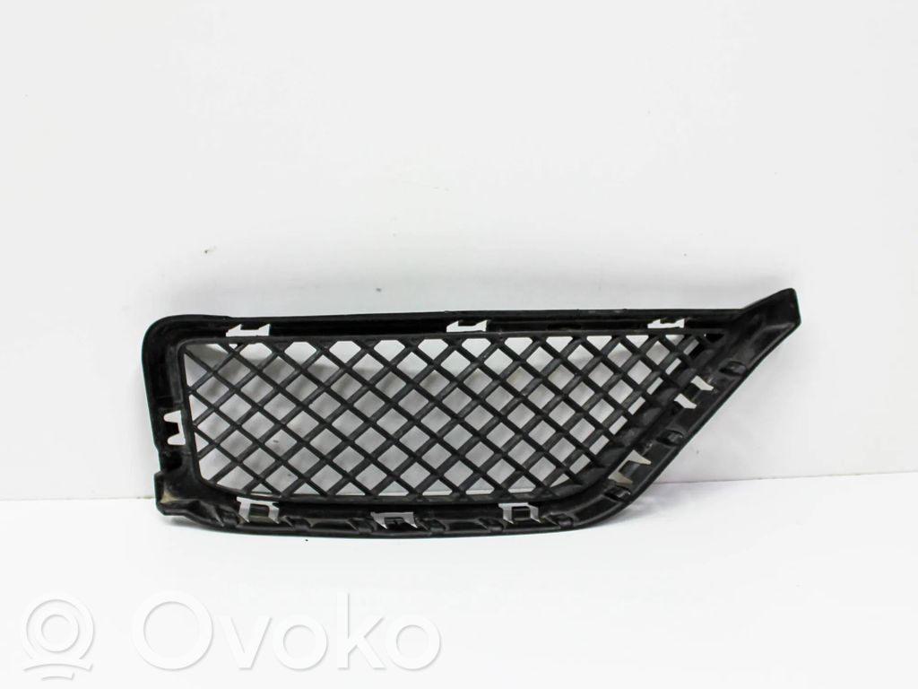 Front grill   7303756