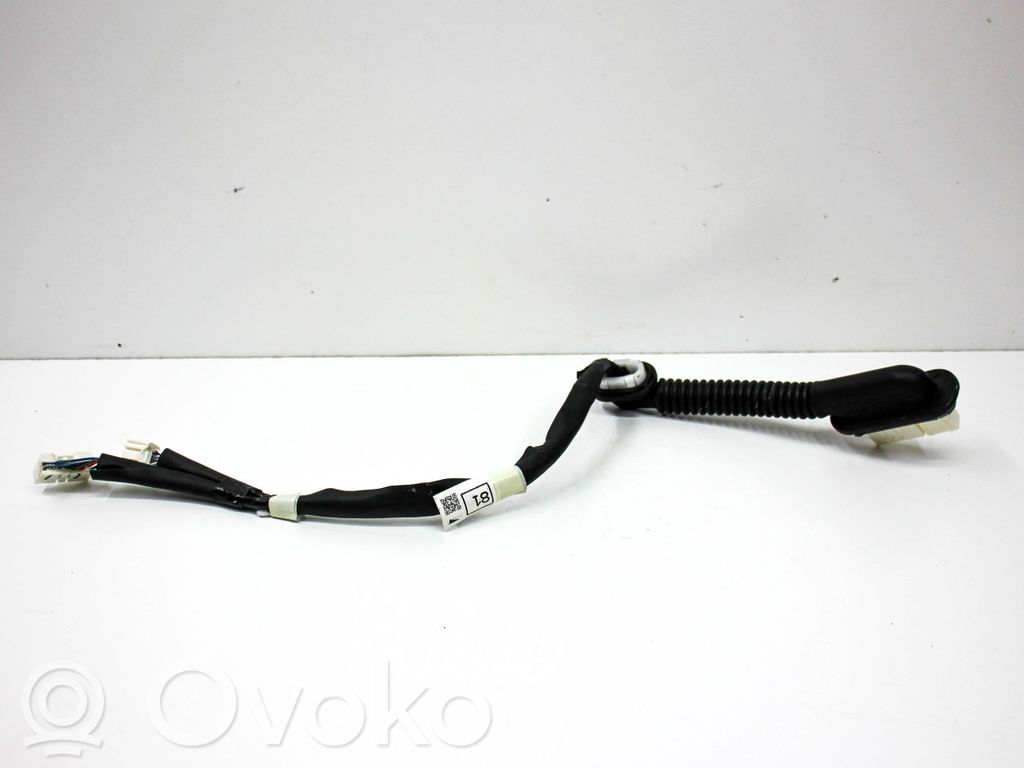 Arnés de cableado de la puerta trasera/maletero   82184,8218402810C