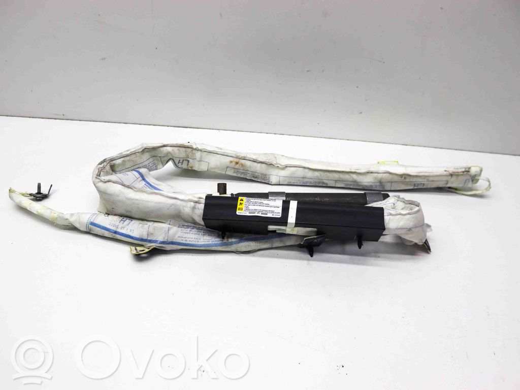 Airbag del techo   1019268,P68222743AF