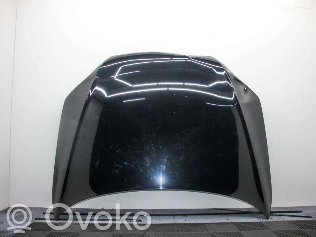 Capó/tapa del motor   4L0010515AB