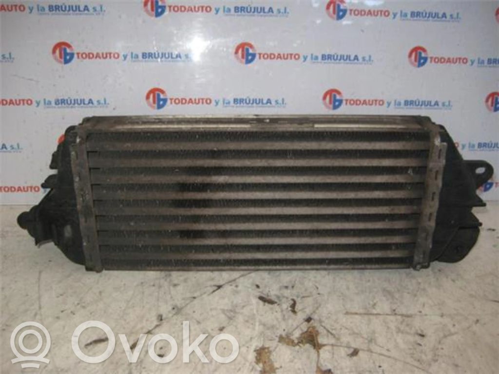 Mini One - Cooper R50 - 53 Interkūlerio radiatorius 