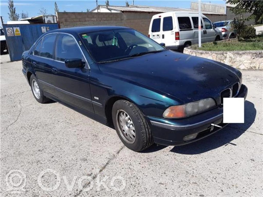 BMW 5 E39 Galinės durys 