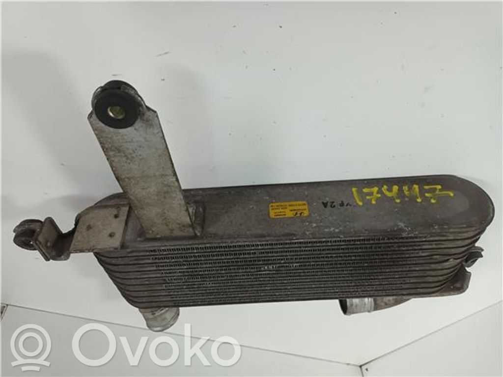Hyundai Matrix Interkūlerio radiatorius 