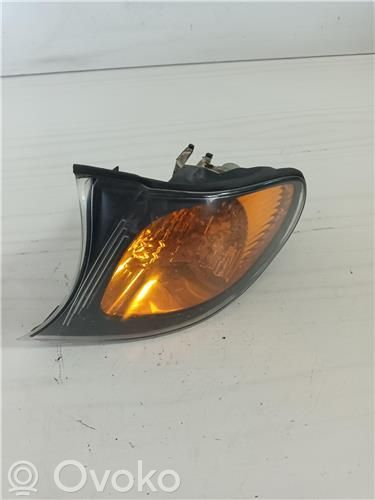 Frontblinker   6910979