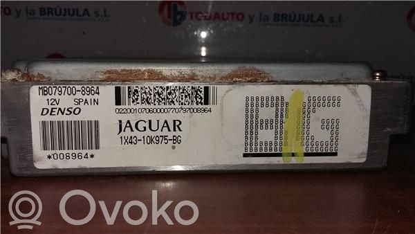 Jaguar X-Type Altre centraline/moduli 