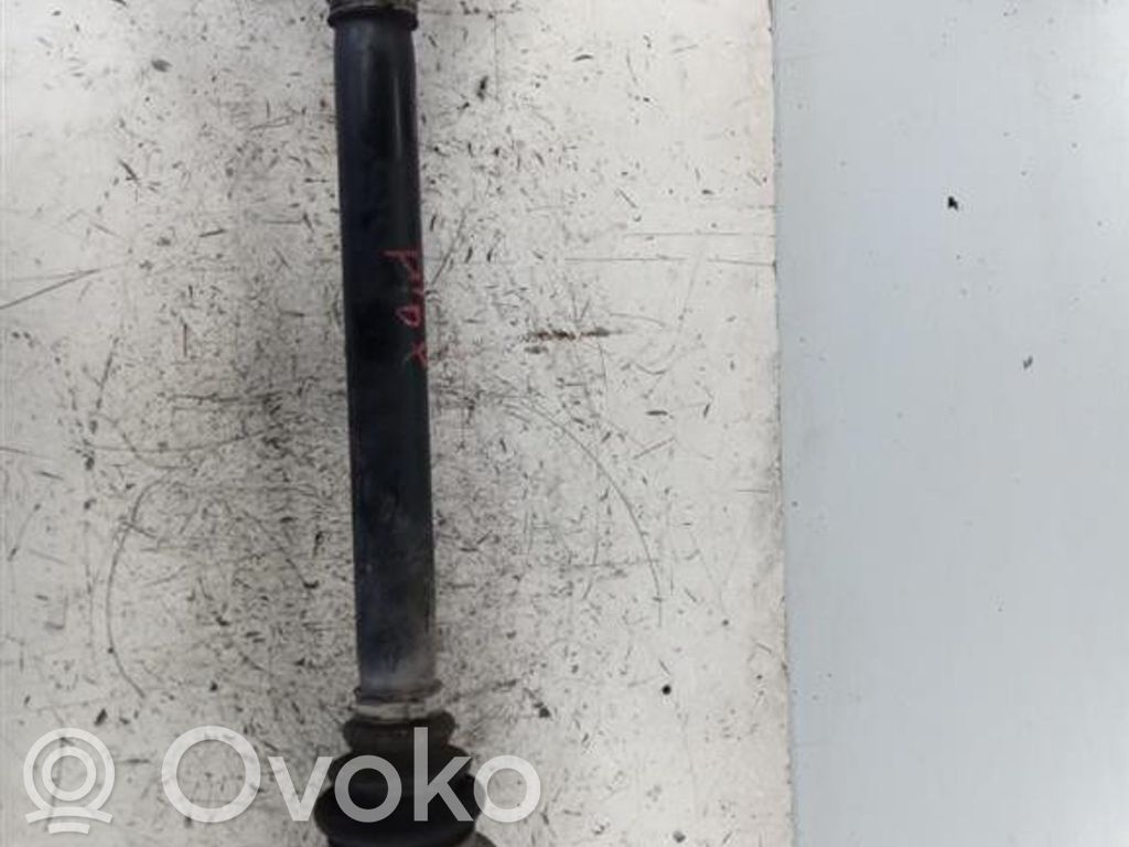 Aizmugurējā pusass   7521630,7521630,M57D306D2