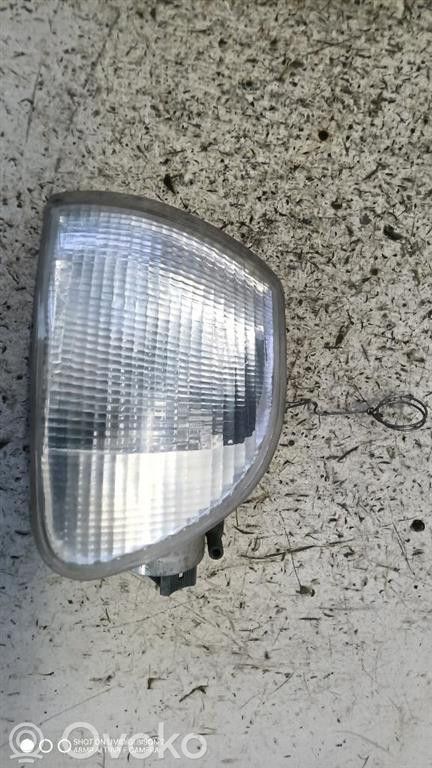 Fiat Palio Seitenblinker 