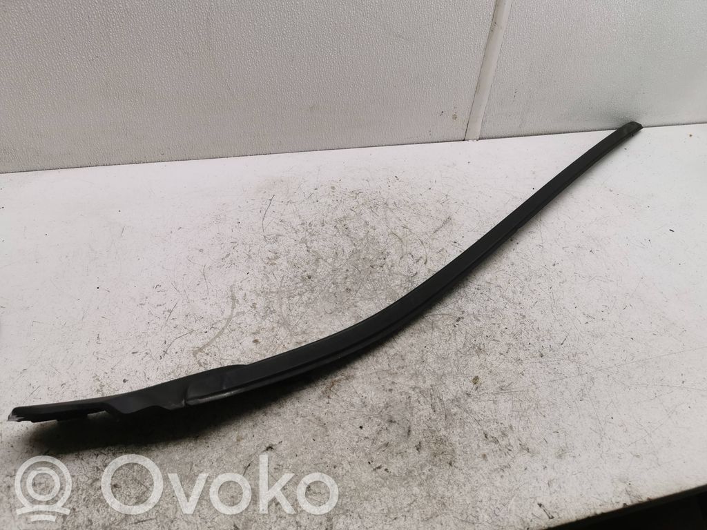 Volvo V40 Ornament parbriz 