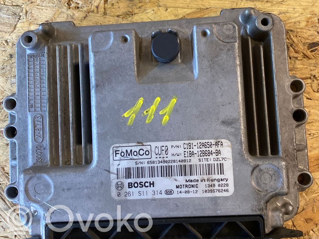 Ford Fiesta Engine control unit/module 
