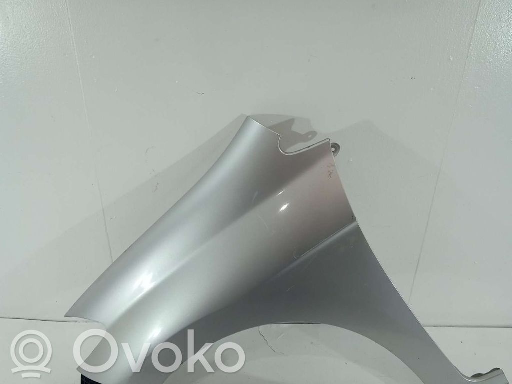 Kotflügel   COLORGRIS