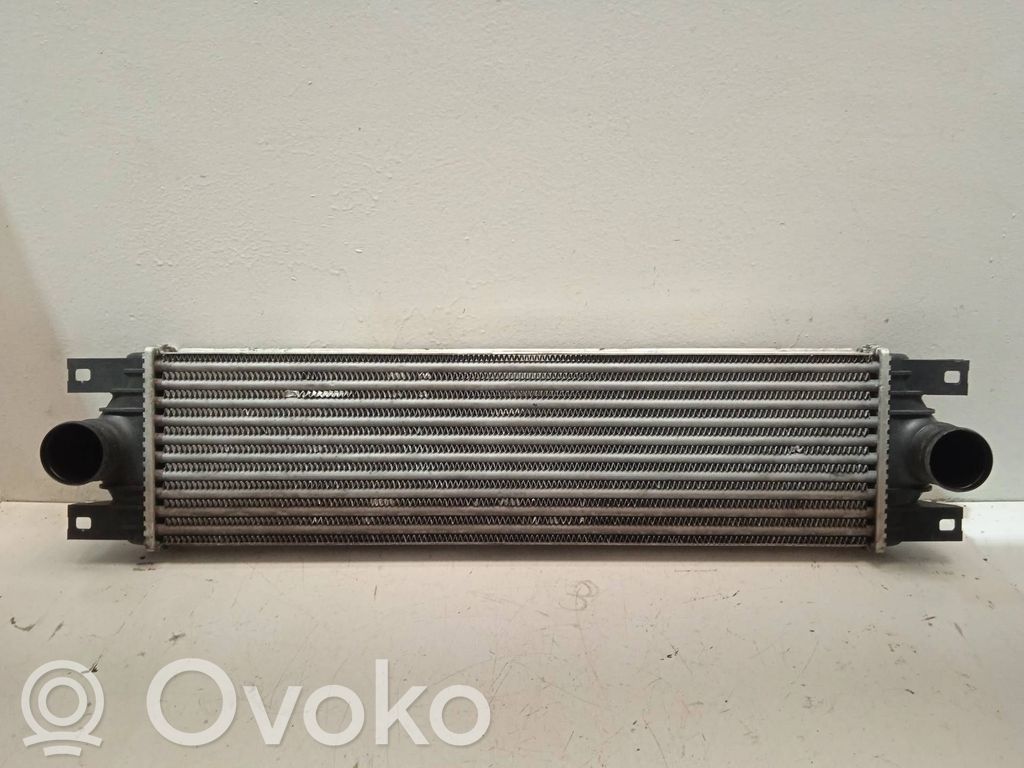 Intercooler radiator   859923X