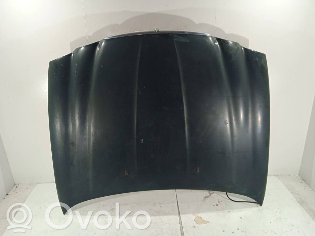 Konepelti   C2S33553,COLORVERDE