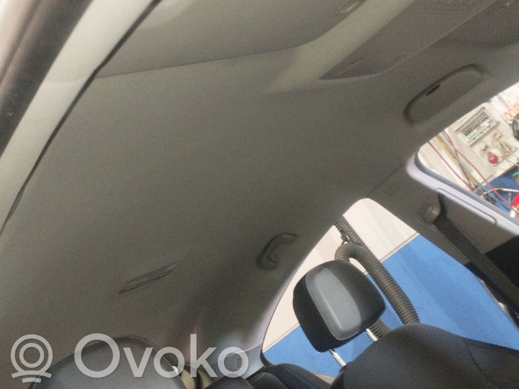 Opel Insignia A Roof 