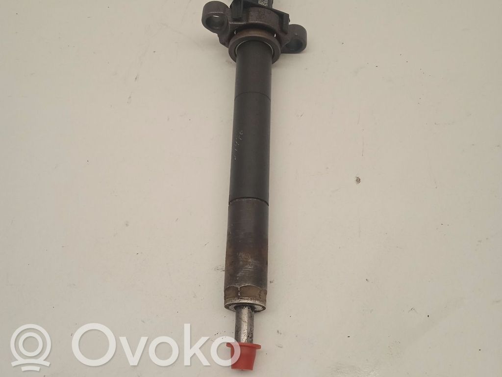 Inyector de combustible   9688438580,DELPHI