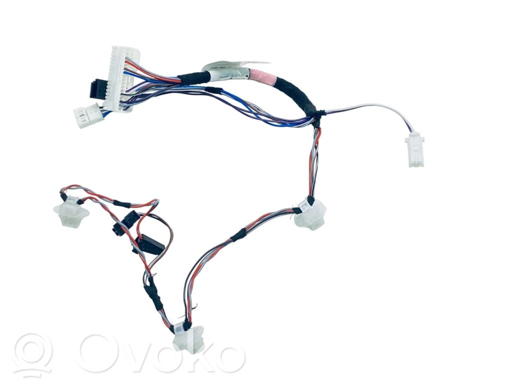 Tesla Model X Cableado de puerta trasera 
