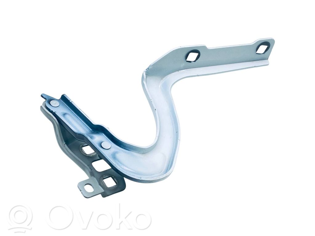 Tesla Model Y Engine bonnet/hood hinges 