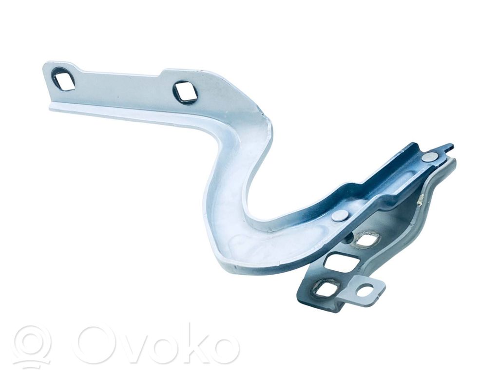 Tesla Model Y Engine bonnet/hood hinges 