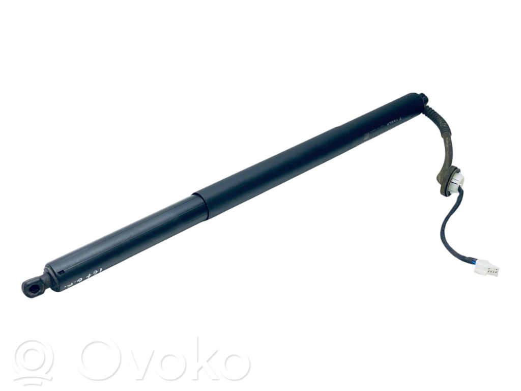 Tesla Model Y Tailgate/trunk strut/damper 