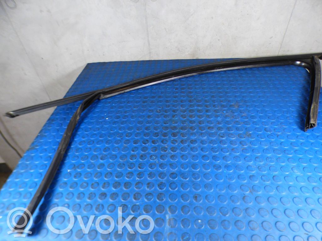 Volkswagen PASSAT B8 Listwa / Uszczelka szyby drzwi przednich 
