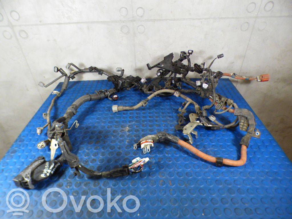 Wiązka przewodów silnika   CART821210ZD50,821210ZD50,224470