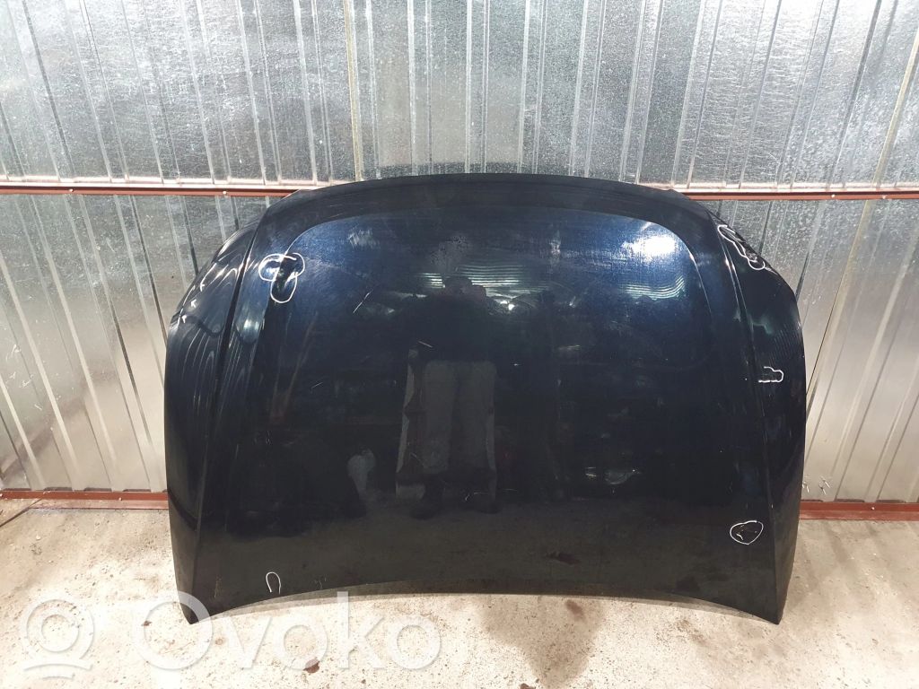Motorhaube