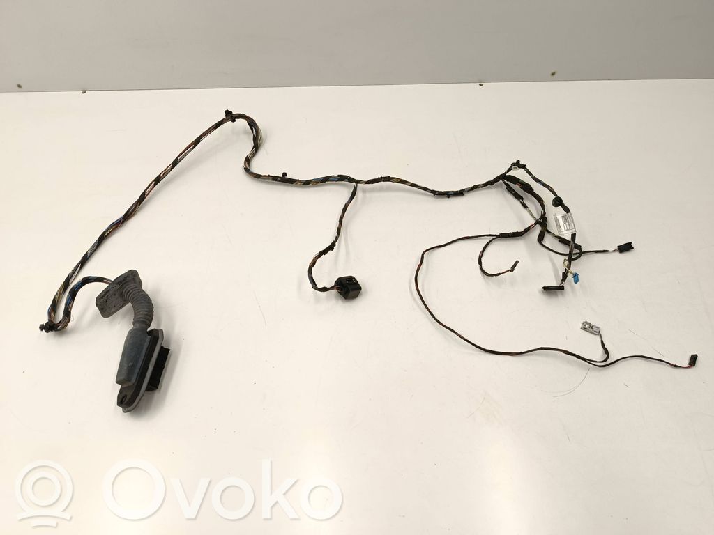 BMW X3 F25 Wiązka przewodów drzwi tylnych 