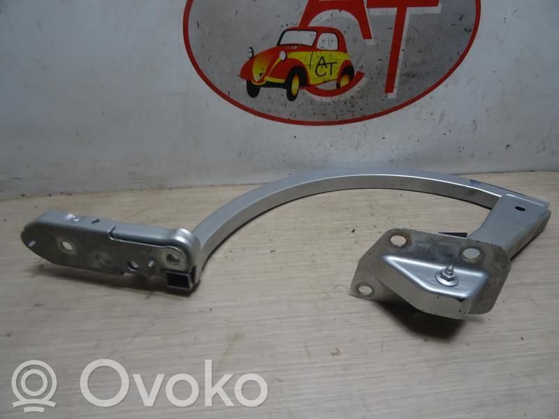 Tailgate/trunk/boot hinge