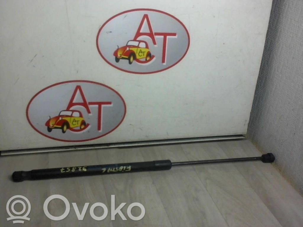 Ford Fiesta Amortizor hayon 