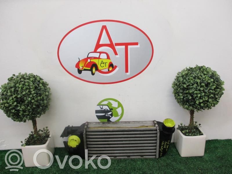 Fiat 500 Radiatore intercooler
