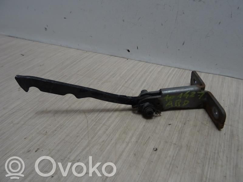 Rear door lock loop/hook striker