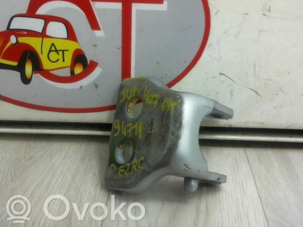 Peugeot 407 Front door hinge set 