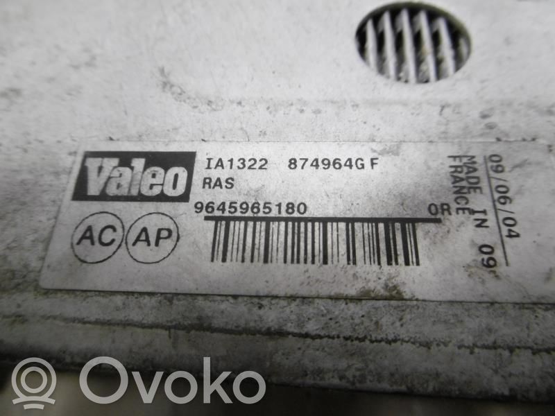 Citroen Xsara Picasso Interkūlerio radiatorius 